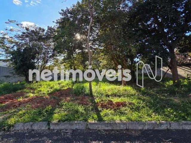 Terreno venda em Região Geográfica Imediata do Distrito Federal, Região Integrada de Desenvolvimento do Distrito Federal e Entorno