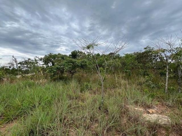 Terreno venda em Região Geográfica Imediata do Distrito Federal, Região Integrada de Desenvolvimento do Distrito Federal e Entorno