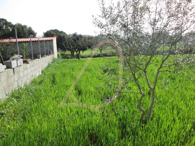 Terreno venda em Ourém, Santarém