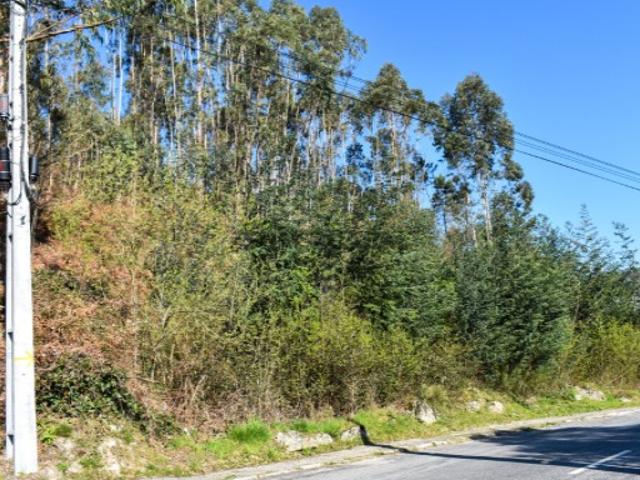Terreno venda em Parada Do Bouro, Braga