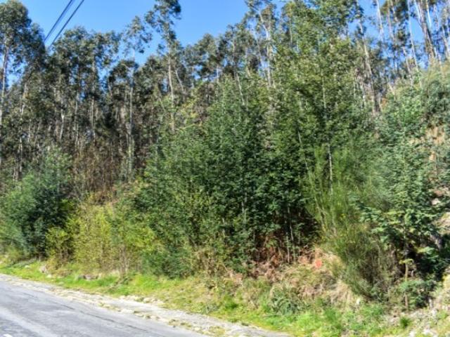 Terreno venda em Parada Do Bouro, Braga