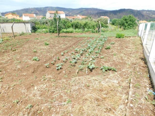 Terreno venda em Castelo Branco