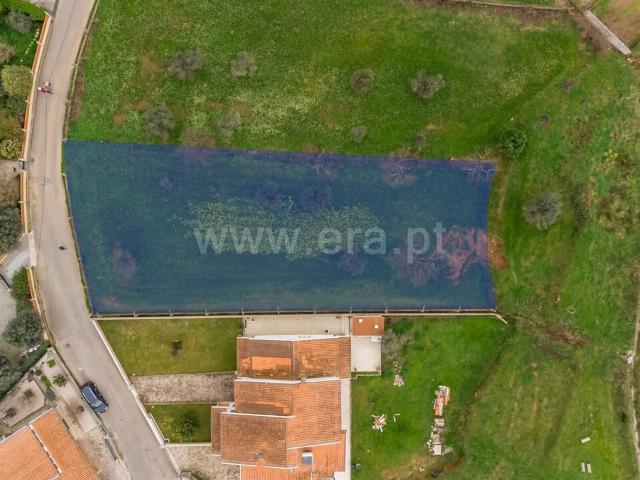 Terreno venda em Castelo Branco