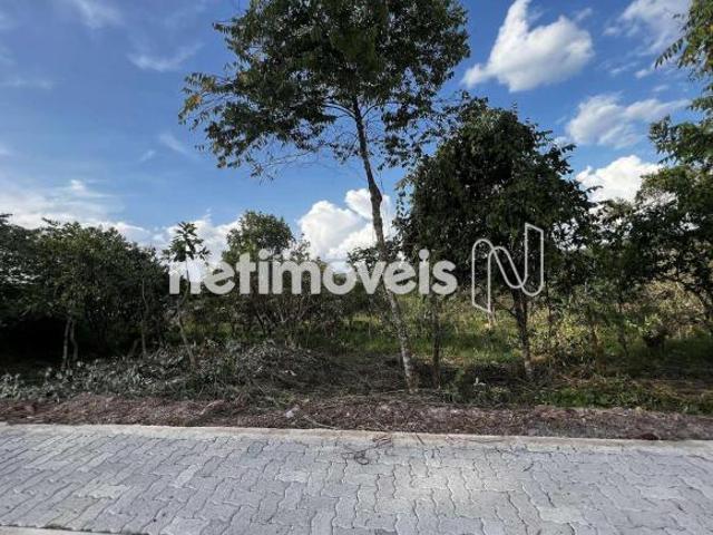 Terreno venda em Condomínio Verde, Jardim Botânico