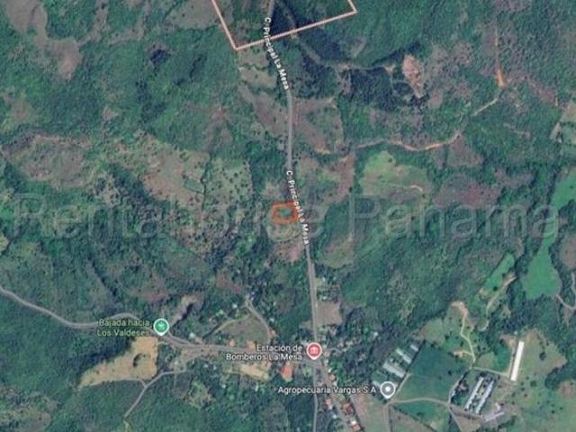 Lote de 10,848 m² en La Mesa, Veraguas, ideal para viviendas o desarrollo rural