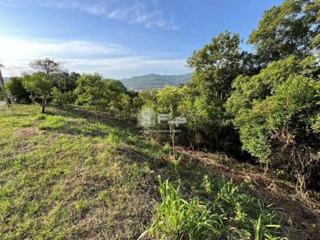 Terreno venda em Região Geográfica Imediata de Caxias do Sul, Feliz