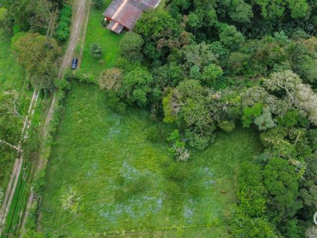 Lote De 1 Hectárea En Venta En Cordillera, Boquerón