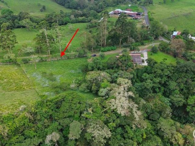 Lote De 1 Hectárea En Venta En Cordillera, Boquerón