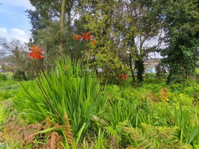 Terreno venda em Casal das Forcadas, Mafra