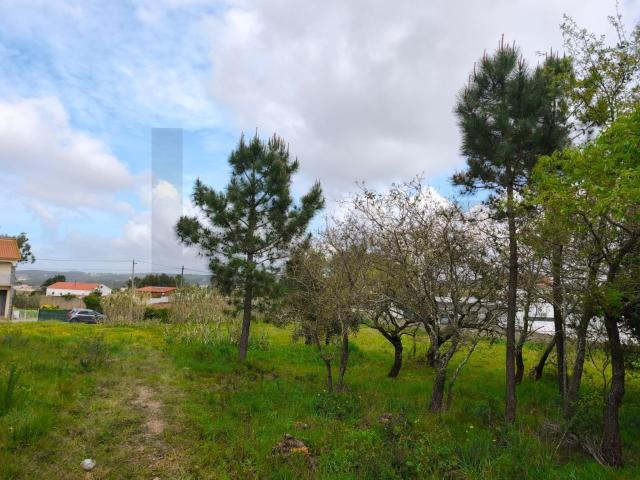 Terreno venda em Mafra, Lisboa