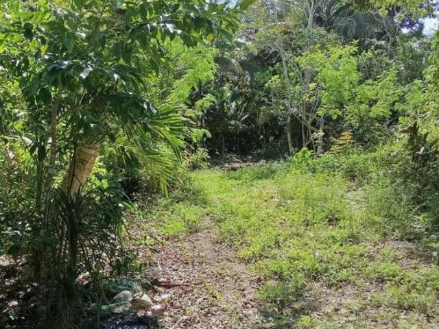 TERRENO EN VENTA CARRETERA CANCUN CHETUMAL