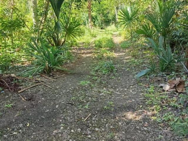 TERRENO EN VENTA CARRETERA CANCUN CHETUMAL