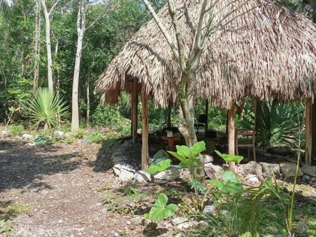 TERRENO EN VENTA CARRETERA CANCUN CHETUMAL