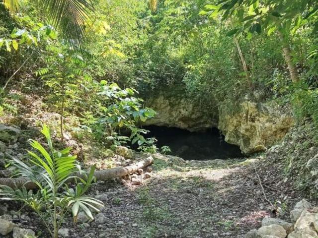 TERRENO EN VENTA CARRETERA CANCUN CHETUMAL
