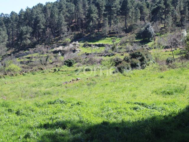 Terreno venda em Mourilhe, Viseu