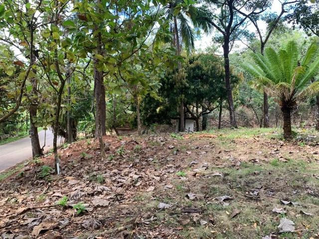 Terreno venta en Soná