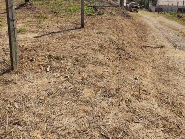 Sítio e chácara venda em Região Imediata de Campinas, Região Metropolitana de Campinas