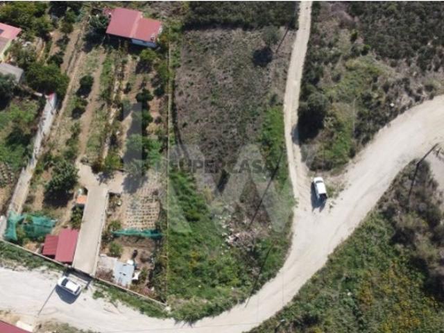 Terreno venda em Castelo Branco