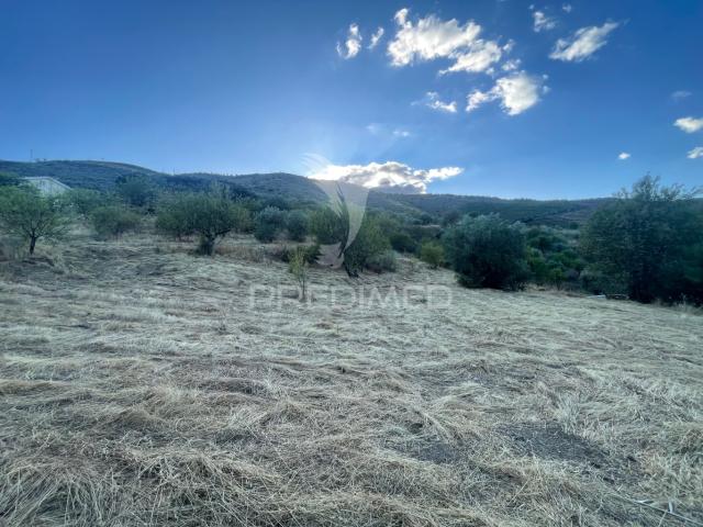 Terreno venda em Guarda, Mós