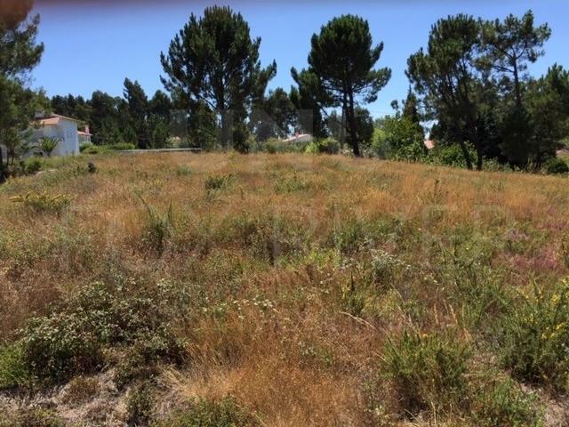 Terreno venda em Viana Do Castelo