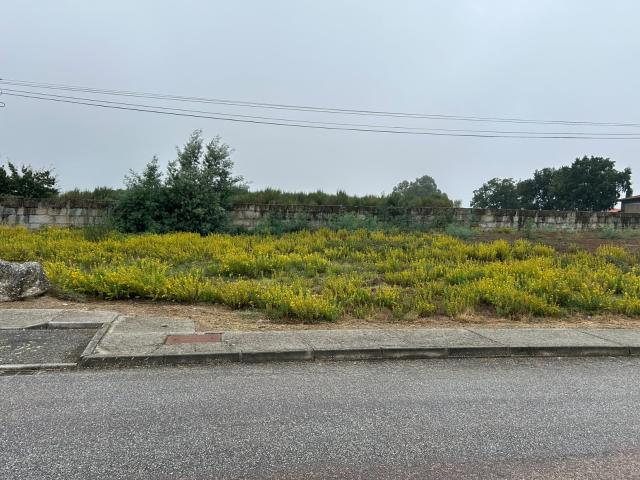 Terreno venda em Mangualde, Viseu