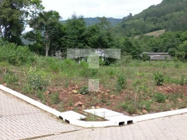 Terreno venda em Picada Café