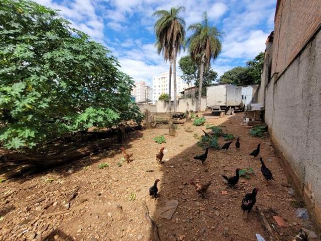 Terreno venda em Cenáculo, Belo Horizonte