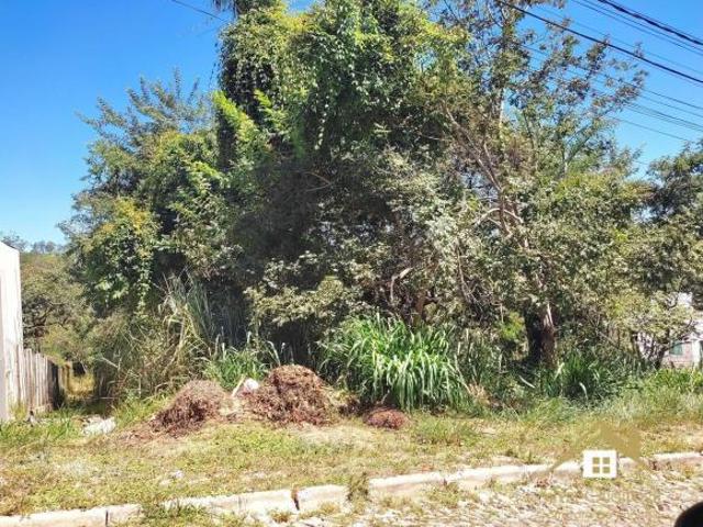 Terreno venda em Santa Luzia
