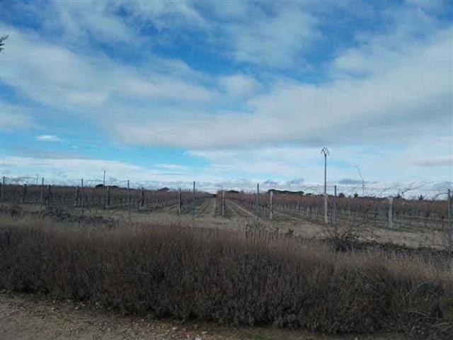 Terreno en venta en Codorniz, Castilla y León
