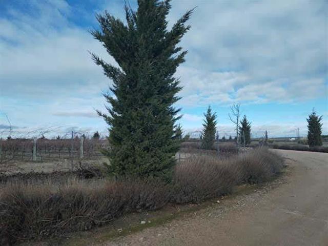 Terreno en venta en Codorniz, Castilla y León