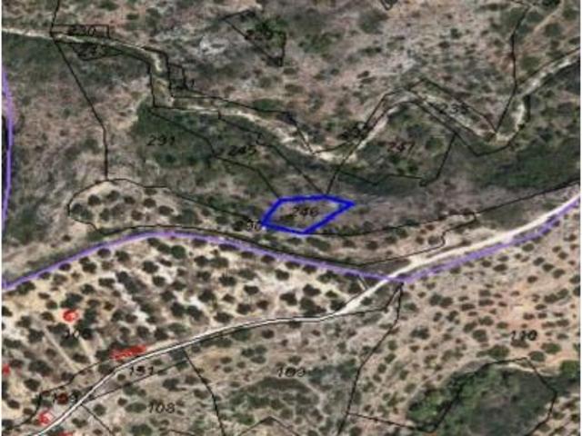 Local Comercial en venta en Baix Ebre, Catalunya
