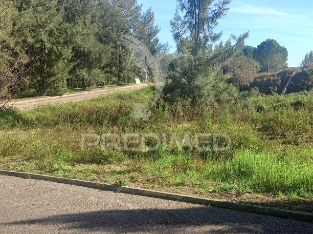 Terreno venda em Constância, Santarém