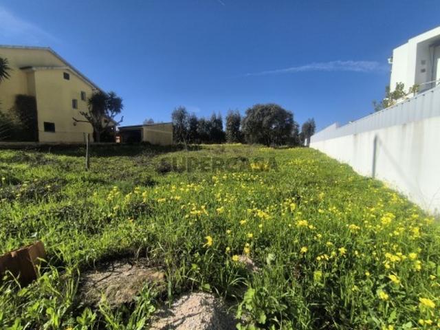Terreno venda em Abrantes, Santarém