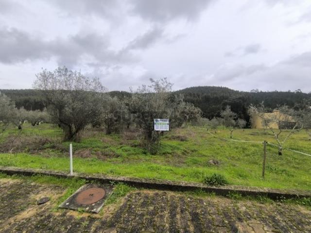 Terreno venda em Abrantes, Santarém