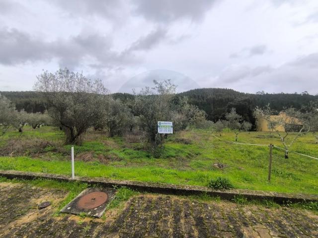 Terreno venda em Abrantes, Santarém