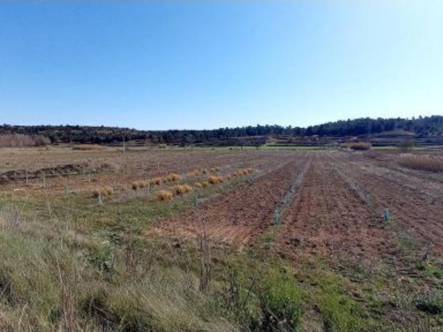 Local Comercial en venta en Alborea, Castilla-La Mancha