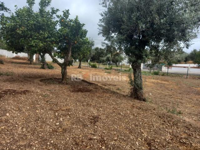 Terreno venda em Vale de Mestre, Constância