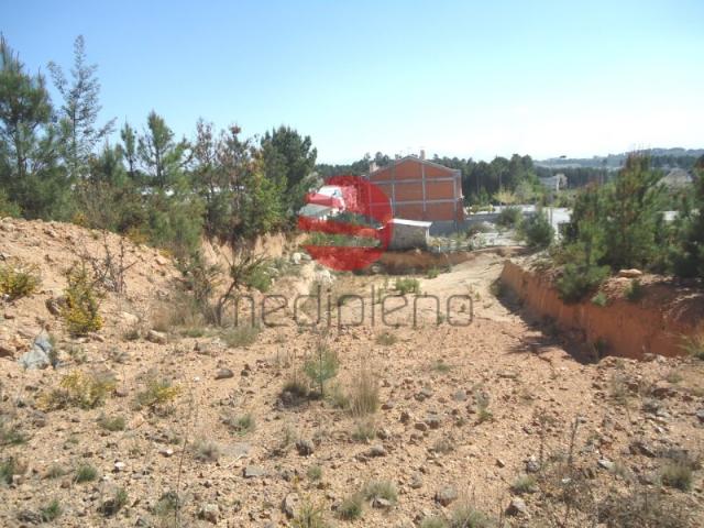 Terreno venda em Monte Salvado, Viseu