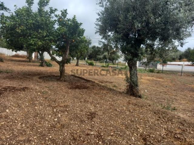 Terreno venda em Constância, Vale de Mestre Terreno venda em Constância, Vale de Mestre