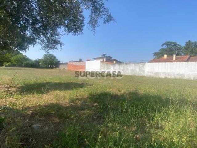 Terreno venda em Cantanhede, Coimbra