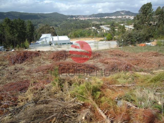 Terreno venda em Monte Salvado, Viseu