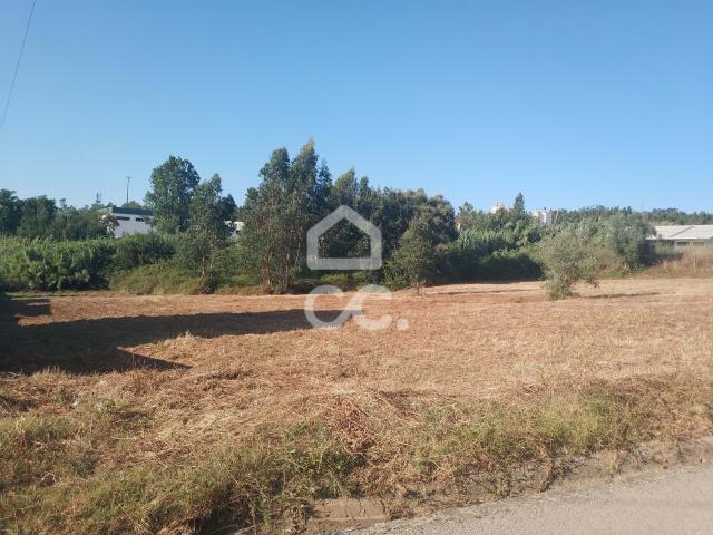 Terreno venda em São Martinho do Bispo e Ribeira de Frades, Coimbra