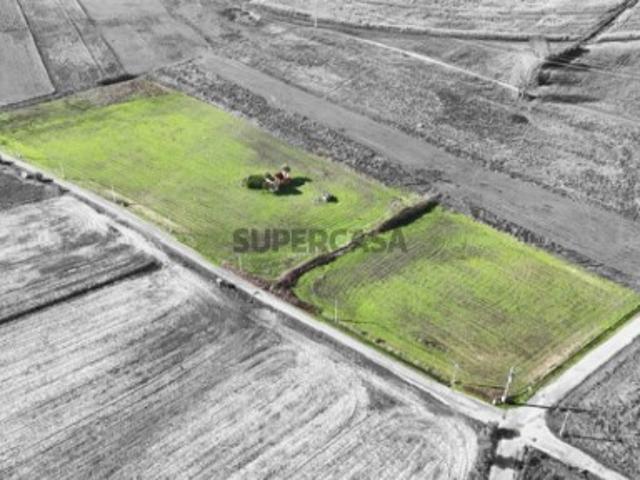 Terreno venda em Alpiarça, Santarém
