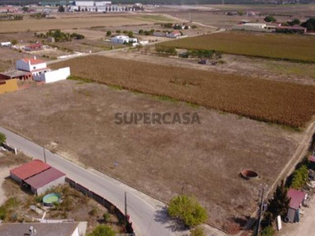 Terreno venda em Alpiarça Terreno venda em Alpiarça