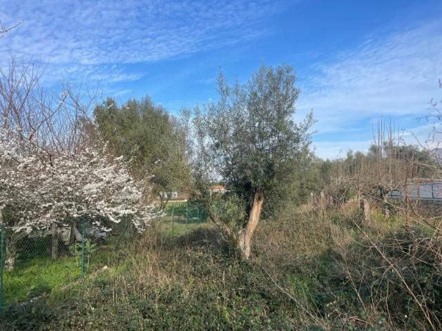 Terreno venda em Boalhosa, Viana Do Castelo