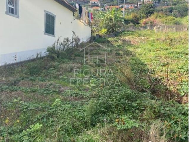 Terreno venda em Calhau da Lapa, Ribeira Brava