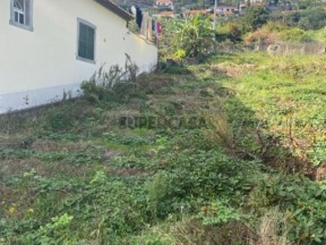 Terreno venda em Calhau da Lapa, Ribeira Brava
