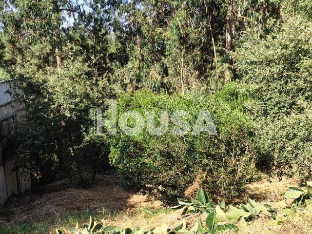 Terreno venda em Cruz d'Areia, Leiria