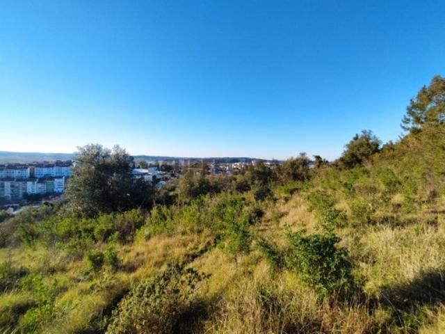 Terreno venda em Coimbrã, Coimbra