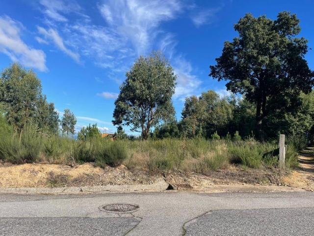 Terreno venda em Lagos Da Beira, Coimbra